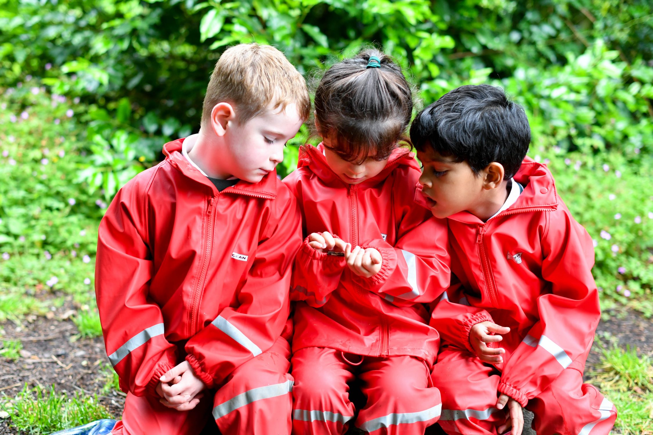 RGS The Grange Nursery