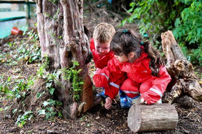 forest school in worcester children learning outdoors
