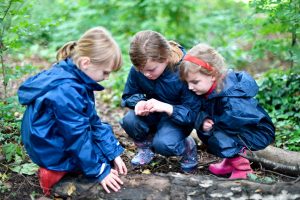 forest school8