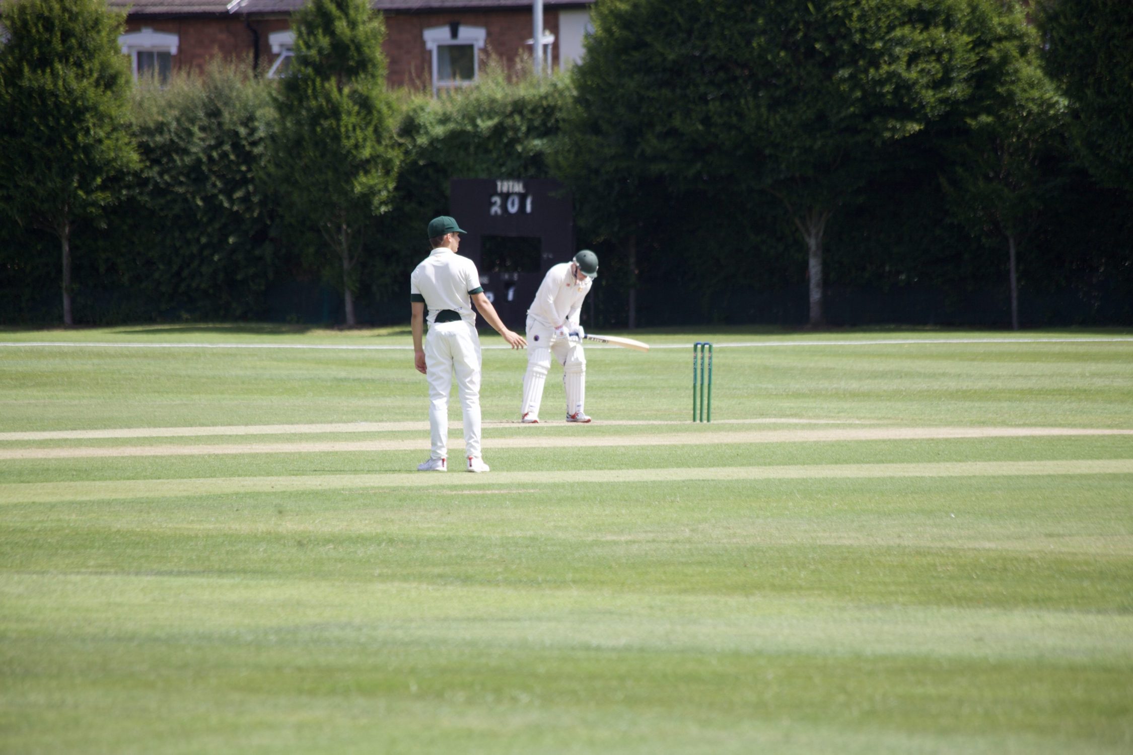 Boys Cricket this season at RGS Worcester 