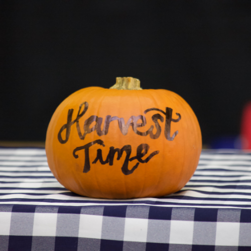 Autumn Activities at The RGS Worcester Family of Schools