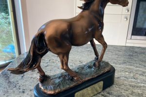 RGS Riders Triumph at Dallas Burton