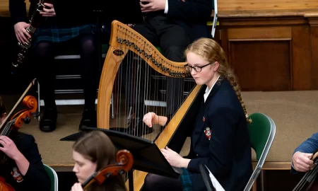 RGS Worcester Co-Curric Music Gallery Harp