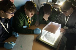 A Physics Adventure in Geneva