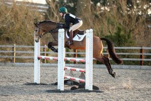 Equestrian Team Triumphs
