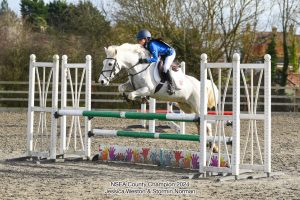 Equestrian Team Triumphs