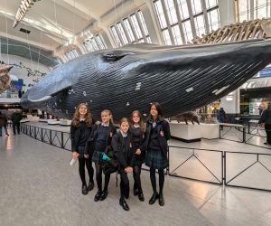 Year Seven Discover the Wonders of the Natural World
