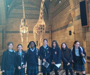 Year Seven Discover the Wonders of the Natural World