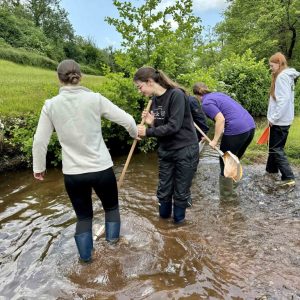 Moorlands, Mammals and Microscopes