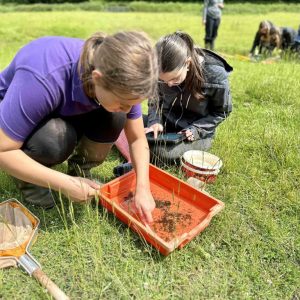 Moorlands, Mammals and Microscopes