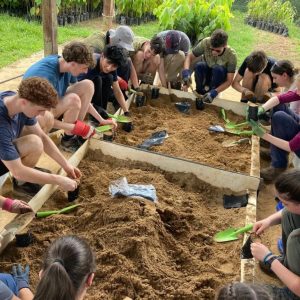 Exploring Culture and Conservation in Borneo