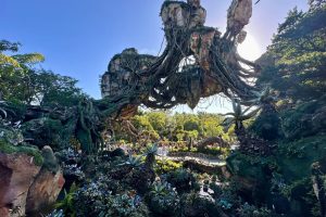 A Week of Magic, Music and Memories In Orlando