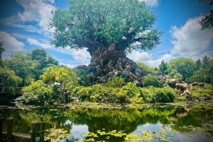 A Week of Magic, Music and Memories In Orlando