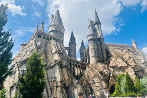A Week of Magic, Music and Memories In Orlando