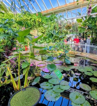 Exploring Ecosystems Beyond the Classroom at the Botanical Gardens