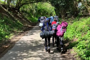 DofE Bronze Training Begins for Year Nine