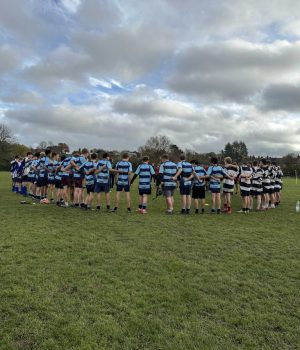 Partnerships, Performance and Participation in Action