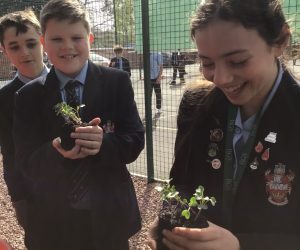 New Growth for RGS Gardening Club