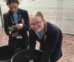New Growth for RGS Gardening Club