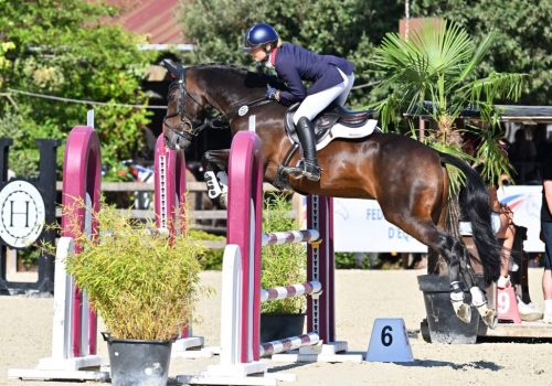 European Championships Mark Equestrian Milestone European Championships Mark Equestrian Milestone