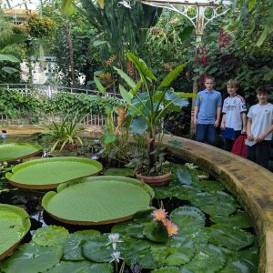 Year Eight Bloom into Action at Birmingham Botanical Gardens