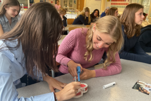 Exploring Careers in Healthcare at Malvern College Exploring Careers in Healthcare at Malvern College